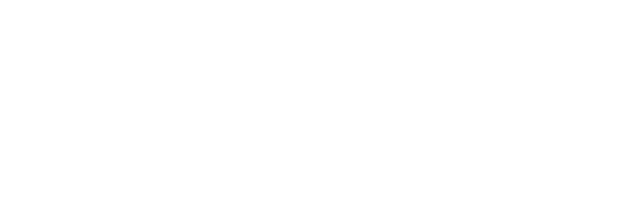 Fiskalschmiede Logo